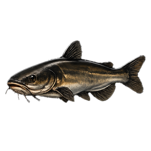 Catfish